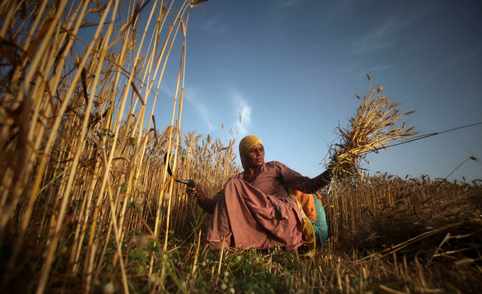 India Baisakhi Festival